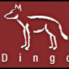 Dingo